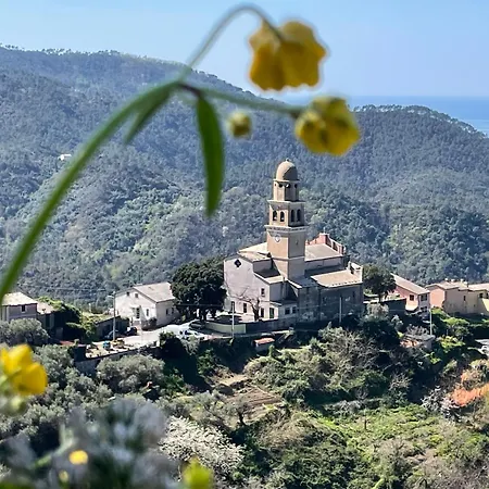 بيت للعطل Jolie Maison *