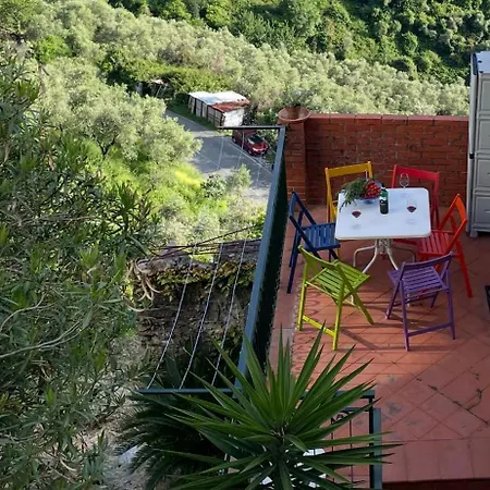 Jolie Maison * ليفانتو